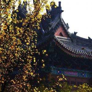 景区四季·春