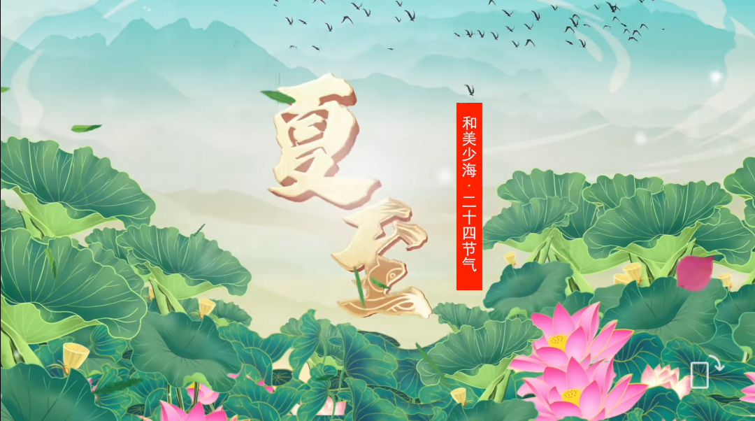【和美少海 · 二十四节气】夏至