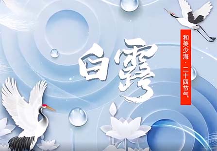 【和美少海 · 二十四节气】白露