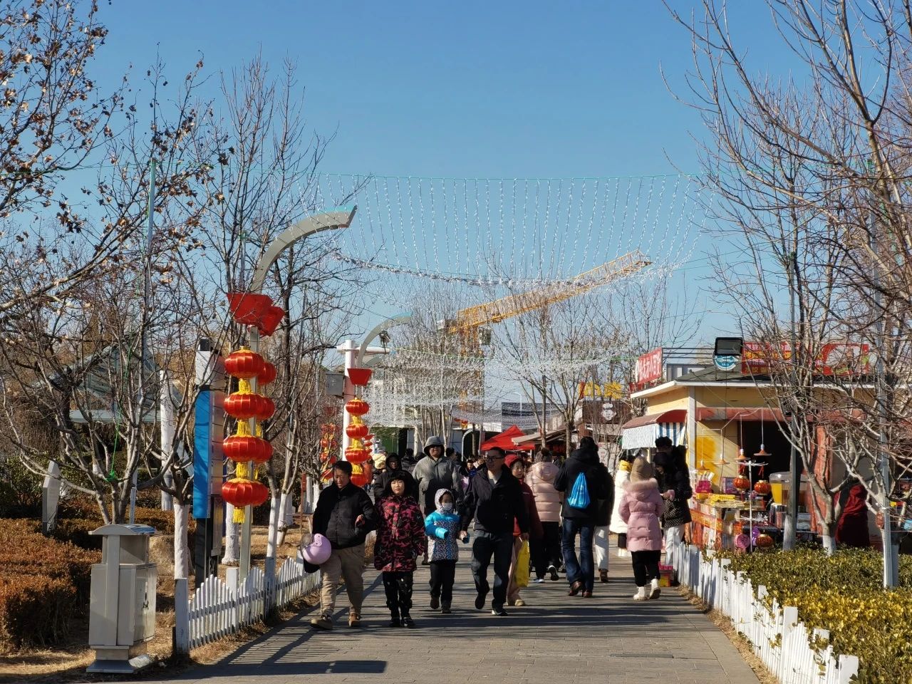 6万人次！大沽河度假区春节假期火爆胶州